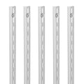 Shelf Pilaster, 39-inch 10 Pack, Upright Wall Shelving System, Heavy Duty Support System Single Slot Shelf Rails, 40 Screws Included, Suitable for Cabinet Closet Organization Storage, Silver