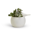 Sitting Pretty Vase