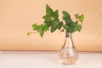 Transparent Glass Bulb Lamp Shape Flower Water Plant Hanging Vase Hydroponic Container Pot For Home Wedding Decoration for Wedding Living Room, Office Party Gift Vase